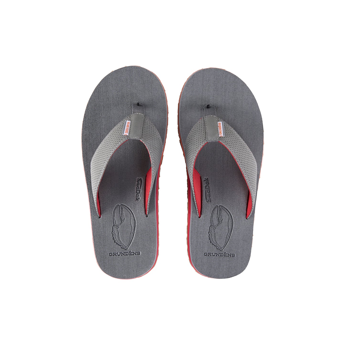 Species Sandal