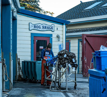 Grundéns Presents: Hog Island Oyster Co.