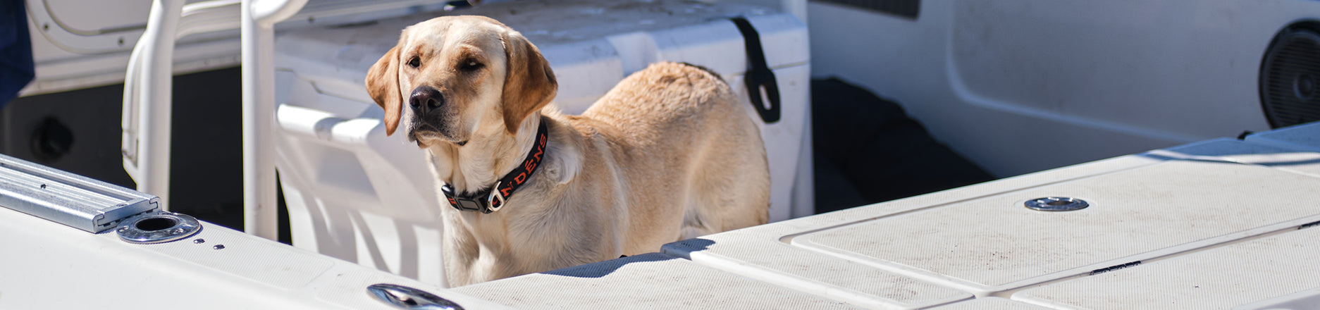 Grundéns Dog Collar