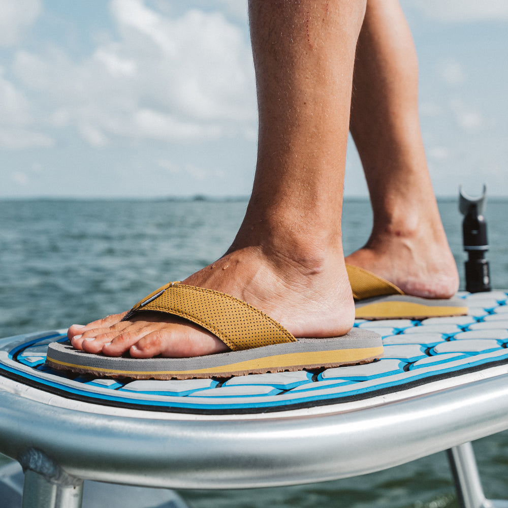 Species Sandal